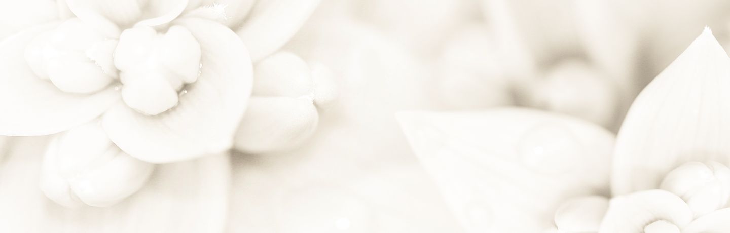 duartearta-albania.com